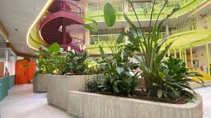 BosQum Jardineria - Bilbao - Remoção de Arbustos