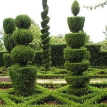 BosQum Jardineria - Bilbao - Semeadura