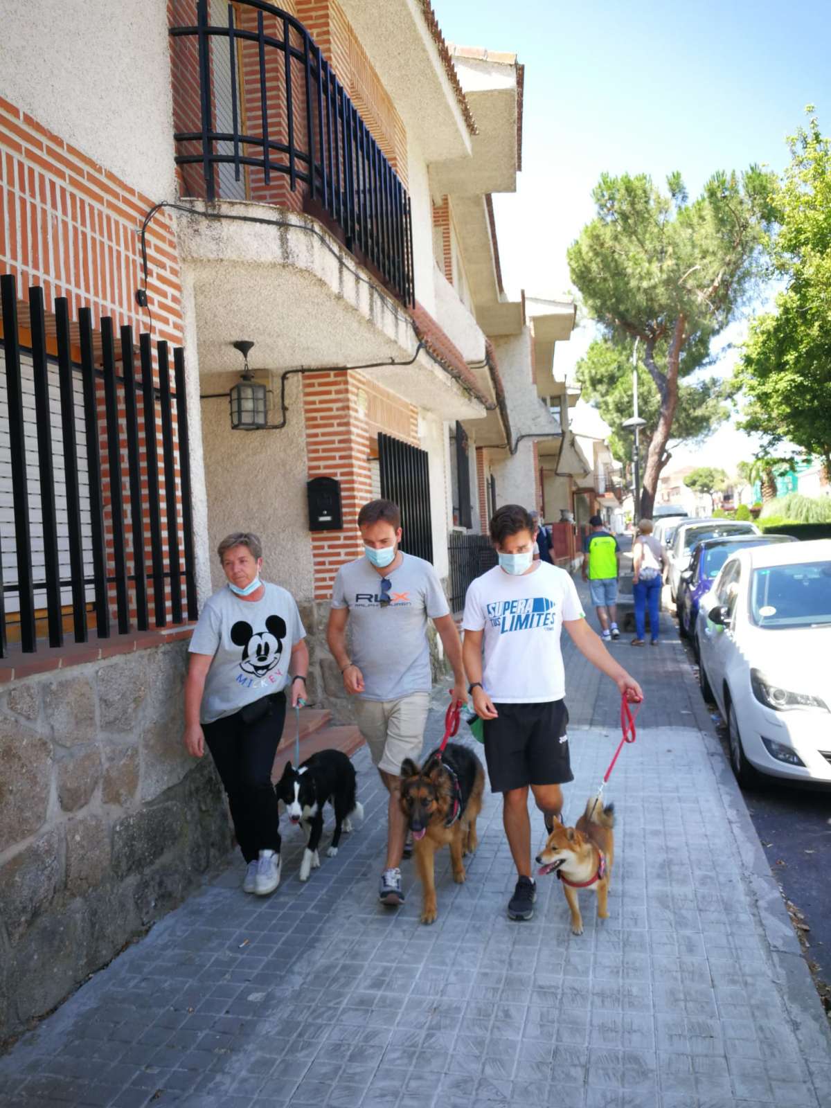 Escuela canina Esgota - Móstoles - Entrenamiento de animales