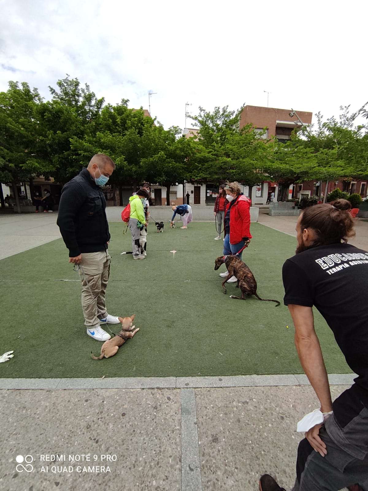 Escuela canina Esgota - Móstoles - Entrenamiento de animales y modificación de la conducta (no caninos)