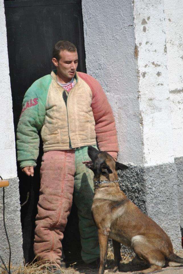 Escuela canina Esgota - Móstoles - Entrenamiento de animales y modificación de la conducta (no caninos)