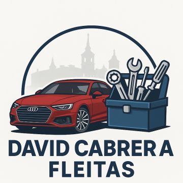 David Cabrera Fleitas - Pozuelo del Rey - Coches