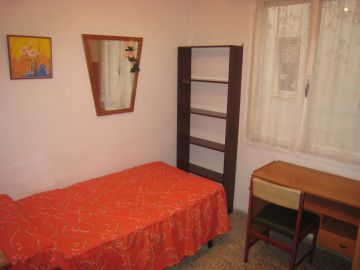 Cleaner - Domestic Services