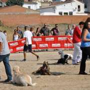 Escuela canina Esgota - Móstoles - Adiestramiento de perros
