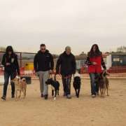 Escuela canina Cancan - Móstoles - Adiestramiento de perros