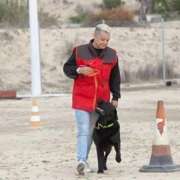 Escuela canina Cancan - Móstoles - Modificación del comportamiento animal