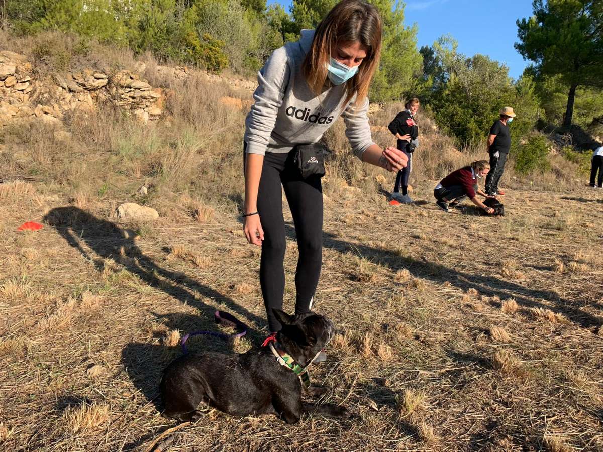 Bea_adiestradoracanina. - Gandia - Paseador de perros