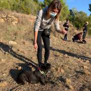 Bea_adiestradoracanina. - Gandia - Paseador de perros