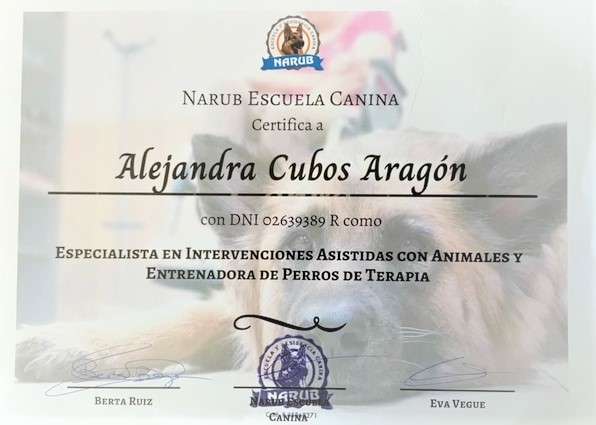 Alejandra Cubos - Boadilla del Monte - Cuidar tus perros