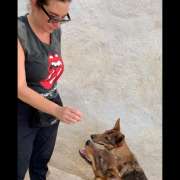 Alejandra Cubos - Boadilla del Monte - Adiestramiento de perros