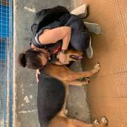 Alejandra Cubos - Boadilla del Monte - Cuidar tus mascotas