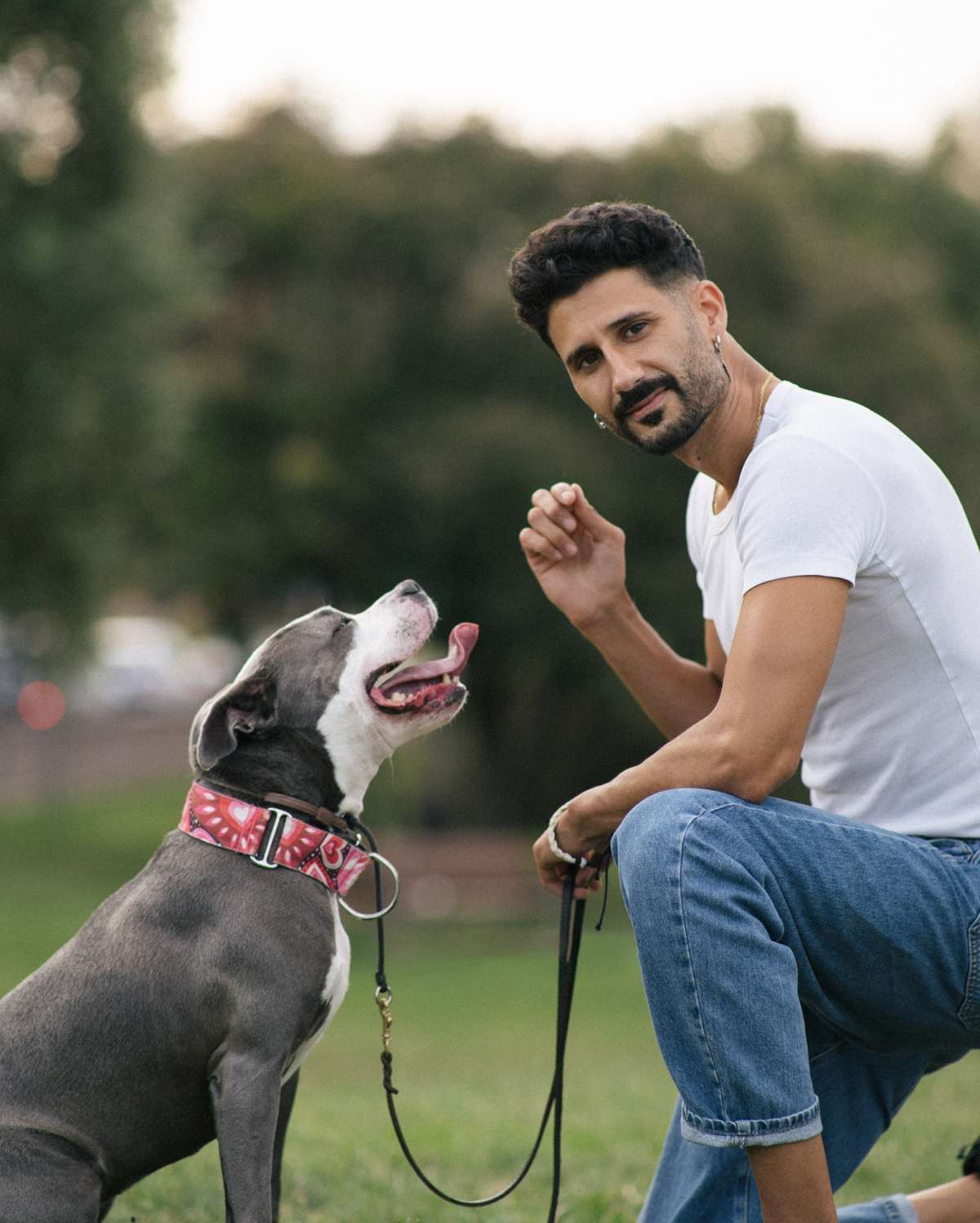 Tarek - Barcelona - Adiestramiento de perros - Clases privadas