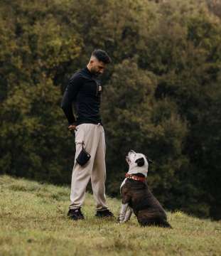 Tarek - Barcelona - Adiestramiento de perros