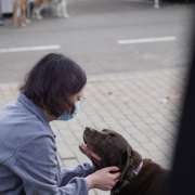 Educadora Canina y Paseos Personalizados - L'Hospitalet de Llobregat - Adiestramiento de perros