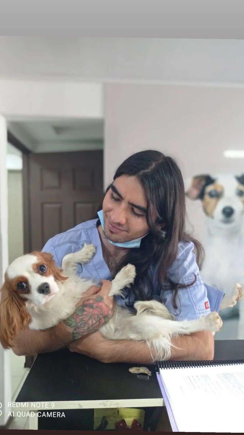 Daniel - Madrid - Cuidar tus perros