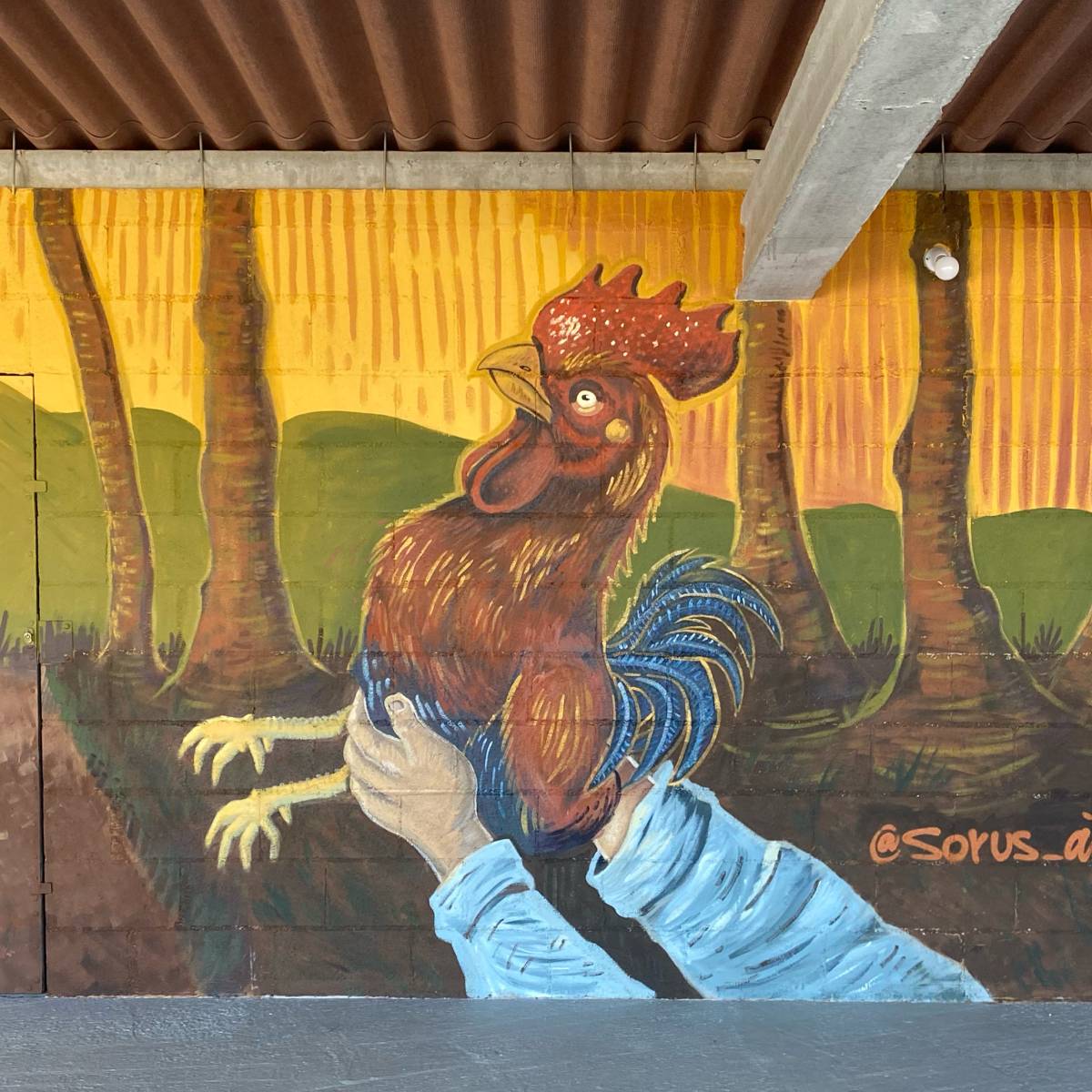 Sorus By Seek - Vigo - Diseño de impresiones