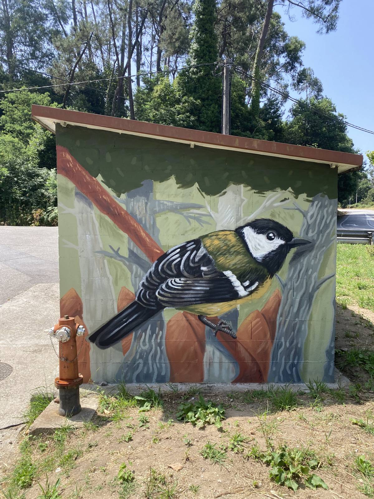 Sorus By Seek - Vigo - Pintar armarios