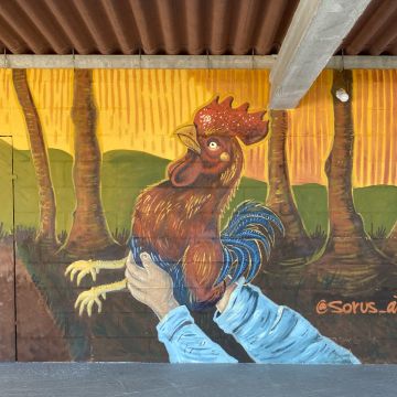 Sorus By Seek - Vigo - Diseño de impresiones