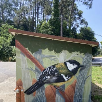 Sorus By Seek - Vigo - Pintar armarios