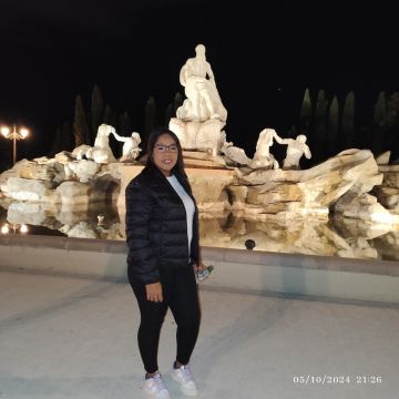 Karla Castro - Arganda del Rey - Organizador del hogar