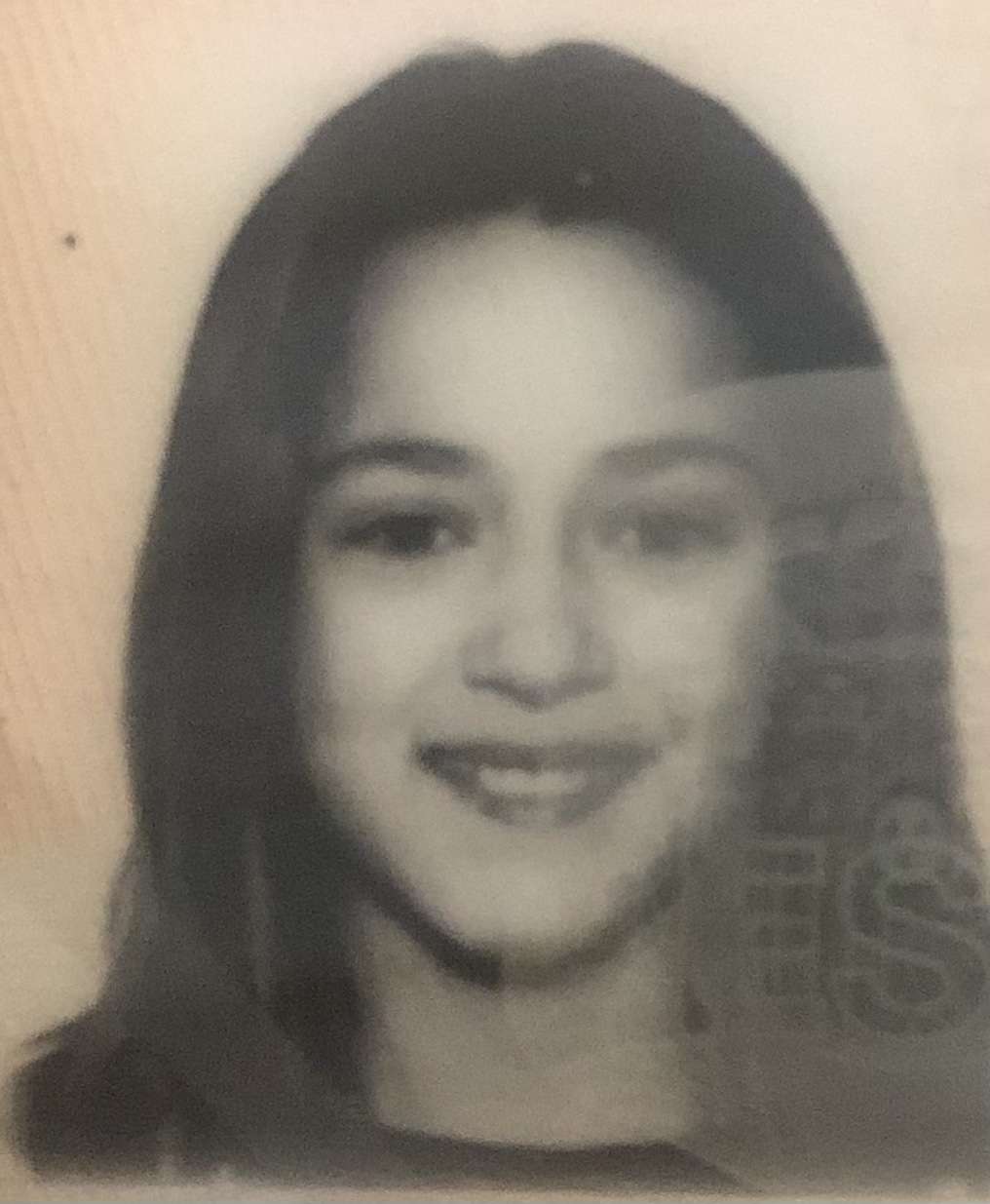 Andrea - Els Hostalets de Pierola - Limpieza de persianas