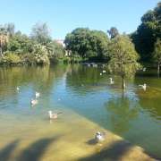 SERVICIOS INTEGRALES SL - Badalona - Caulking