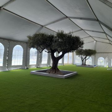 Carpatop Eventos - Albox - Alquiler de estructuras para eventos