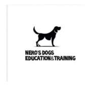Nero's Dogs Education&Training - Villar del Arzobispo - Adiestramiento de perros - Clases privadas