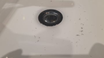 Plumbing