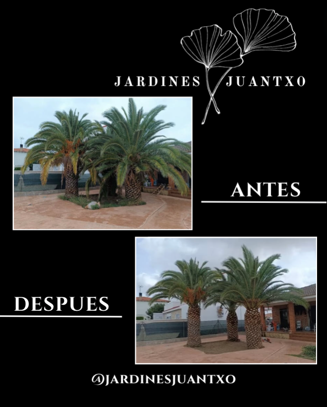 Jardines Juantxo - Torrejón de Ardoz - Aireación
