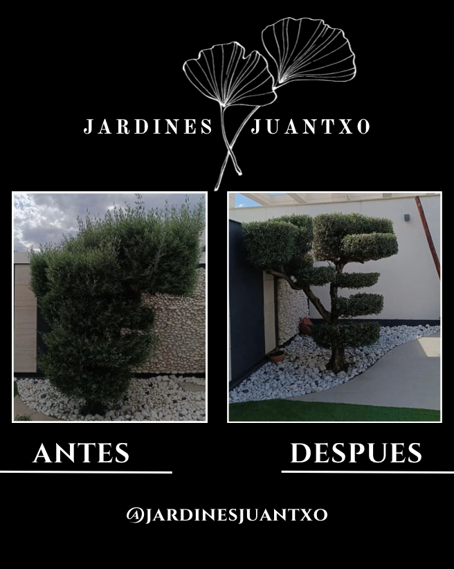 Jardines Juantxo - Torrejón de Ardoz - Trituración y eliminación de tocones