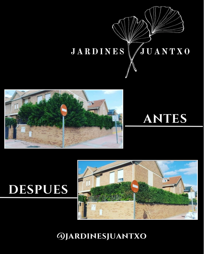 Jardines Juantxo - Torrejón de Ardoz - Deshierbo