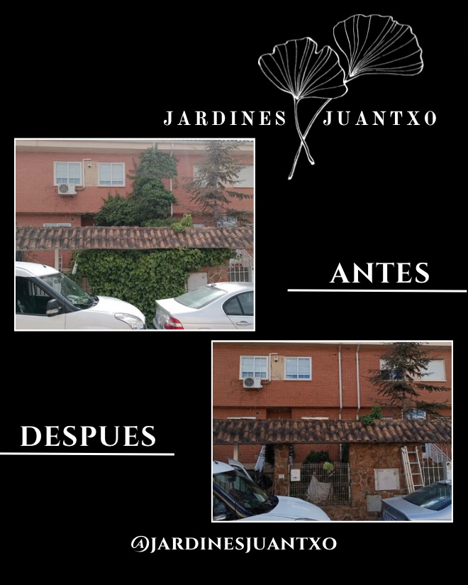 Jardines Juantxo - Torrejón de Ardoz - Cortar y podar el césped