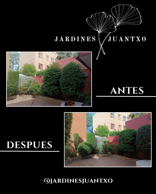 Jardines Juantxo - Torrejón de Ardoz - Eliminación de arbustos