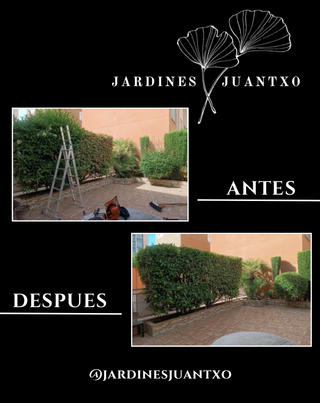 Jardines Juantxo - Torrejón de Ardoz - Plantación de árboles