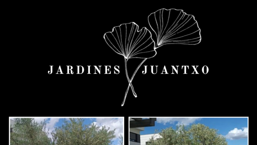 Jardines Juantxo - Torrejón de Ardoz - Poda y mantenimiento de árboles