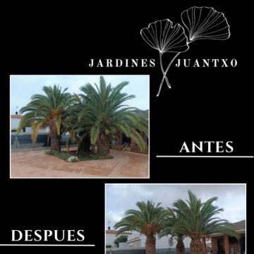 Jardines Juantxo - Torrejón de Ardoz - Aireación