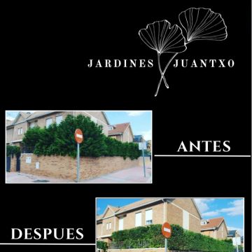 Jardines Juantxo - Torrejón de Ardoz - Deshierbo