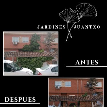 Jardines Juantxo - Torrejón de Ardoz - Cortar y podar el césped