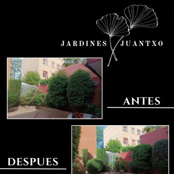 Jardines Juantxo - Torrejón de Ardoz - Eliminación de arbustos