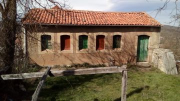 Roof Repair or Maintenance