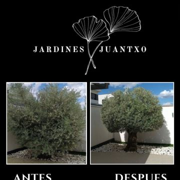 Jardines Juantxo - Torrejón de Ardoz - Jardinería