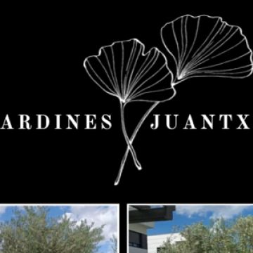Jardines Juantxo - Torrejón de Ardoz - Poda y mantenimiento de árboles