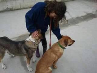 Leticia - Alcalá de Henares - Cuidar tus perros