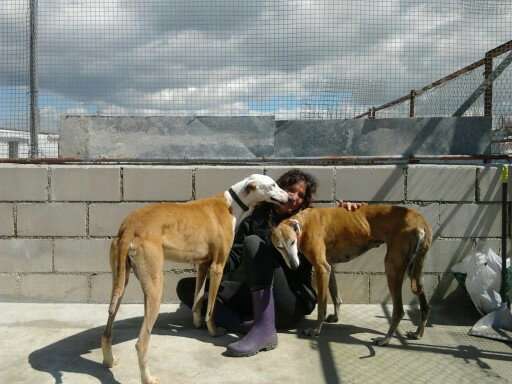 Leticia - Alcalá de Henares - Paseador de perros