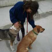 Leticia - Alcalá de Henares - Cuidar tus perros