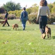 FAMILY KINGDOM I MUNDO CANINO - Alcorcón - Entrenamiento de animales y modificación de la conducta (no caninos)