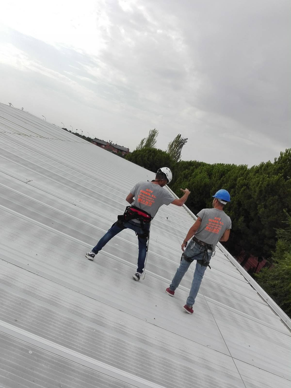 Aitv muñoz sl - Madrid - Techos