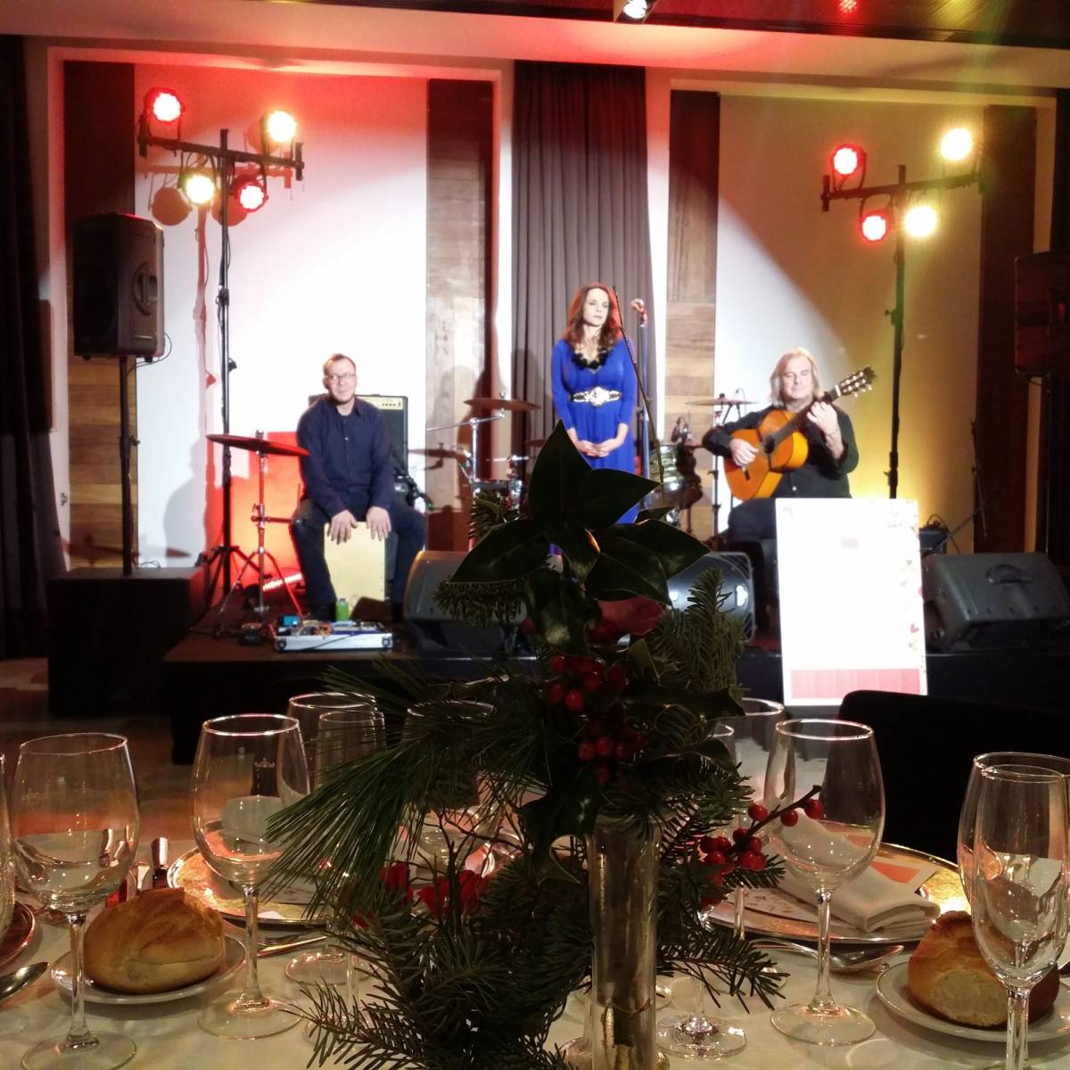 Flamenco Eventos - Madrid - Solo Musician Entertainment