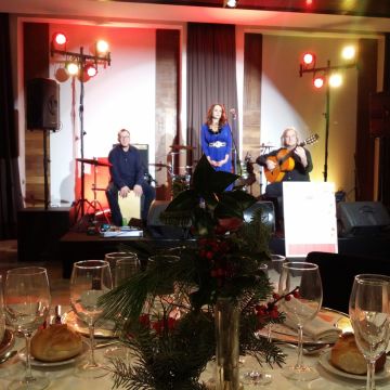 Flamenco Eventos - Madrid - Solo Musician Entertainment